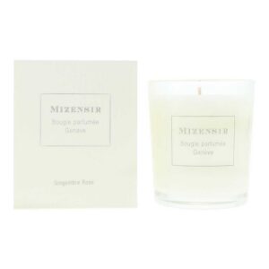 mizensir, gingembre rose, candela profumata, 90 g
