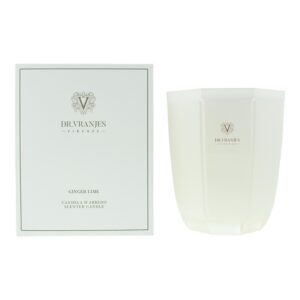 dr. vranjes firenze, ginger lime, candela profumata, 1000 g