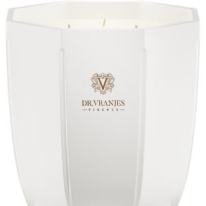 dr. vranjes firenze, ginger lime, candela profumata, 500 g