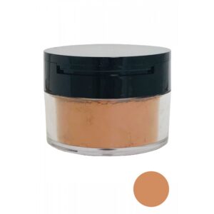 elizabeth arden, high performance, sfocatura, cipria fissante libera, mediamente profondo, 17.5 g