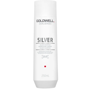 goldwell, dualsenses silver, shampoo per capelli, anti grigio, 250 ml