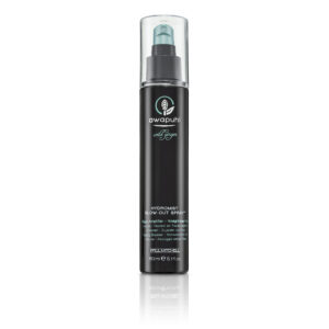 awapuhi wild ginger by paul mitchell, style, senza parabeni, lacca per capelli, per il volume, tenuta senza peso, 150 ml